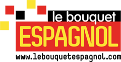 Espagnol logo
